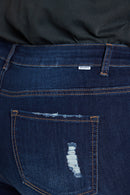 (PRE PACK) Plus size Authentic Mid Rise Skinny Jeans EP3485XL