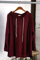 Plus Wine Cozy Basic Hoodie