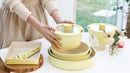 IH Stock Pot 28cm Lemon Meringue (KP964097)