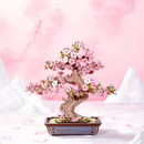 Hands Craft | Sakura Bonsai