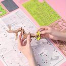 Hands Craft | Sakura Bonsai