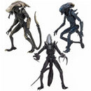Alien vs. Predator Alien Movie Deco 7-Inch Scale Action Figure Set-Set of 3