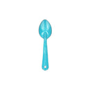 Cinsa Enamel Spoon