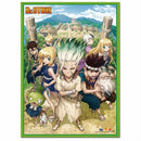 DR. STONE- KEY ART WALL SCROLL