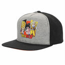 DRAGON BALL Z YOUTH BLK/GREY FLAT BILL SNAPBACK