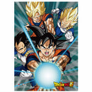 DRAGON BALL SUPER - BATTLE OF GODS GROUP