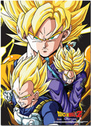 DRAGON BALL Z CREW WALLSCROLL