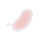 Dr.ROSA PDRN Lifting IV 15ml