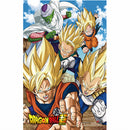 Dragon Ball Super-Battle of Gods Group 02 Wall Scroll