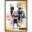 HAIKYU!! - KEY ART