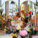 Hands Craft | Greenhouse Oasis