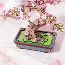 Hands Craft | Sakura Bonsai