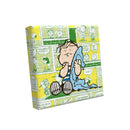 Hands Craft | Peanuts® Linus