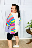 Feeling Bold Lilac Multicolor Stripe Collared V Neck Pullover (Open Pack)