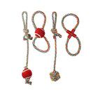 Bonita Pet Multi Color Rope Toy