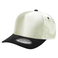 TCSTS - Satin Snapback Suede Bills