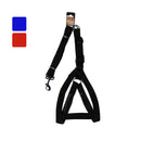 Bonita Pet  Harness & Leash Set, L, Asstorted Colors, 86"