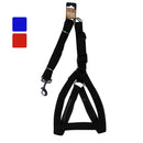 Bonita Pet Harness & Leash Set, XL, Assorted Colors, 89"