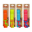 Bonita Pet Large Neon Leash - 0.98x47in - Asst Colors