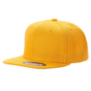 PS - Poly Snapback