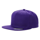 PS - Poly Snapback
