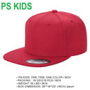 PS - Poly Snapback (SALE)