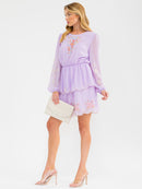 WOMEN'S LONG SLEEVE ELASTIC WAIST TIERED EMBROIDERY FLORAL DETAILED MINI DRESS