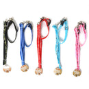 Bonita Pet Printed Collar & Leash Set, S, Assorted Colors