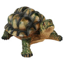 Bonita Home Polyresin Turtle Figurine