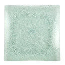 Square Glass Plate - 9.84x9.84in