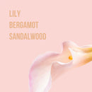 Body Lotion & Mist - All Mine