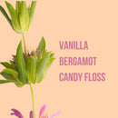 Body Lotion & Mist - Secret Crush