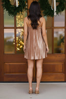 Champagne Velvet Holiday Dress