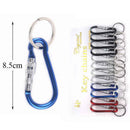 Carabiner Clip Keychain 0642 (12 units)