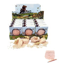 Dinosaur Excavation Kit 1088 (12 units)