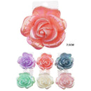Fashion Hair Jaw Clip 13694 (12 units)