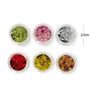 Nail Art Decoration Assorted Glitter 6PC Set 10310 (12 units)