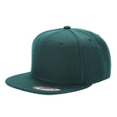 PS - Poly Snapback (SALE)