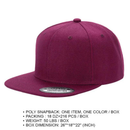 PS - Poly Snapback (SALE)