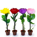 Rose With Pot Pen 1750 (12 units)
