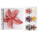 Starfish Textured Hair Claw Clip 1415 (12 units)