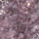 Statement Shimmer Liner - 008 SHIMMER TAUPE (3 units)