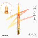 Supernova Multichrome Gel Liner Bundle 10 Shades (1 unit)