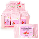 Watermelon Makeup Remover Wipes (12 units)