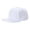 WS - Wool Snapback