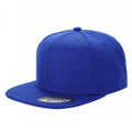 WS - Wool Snapback
